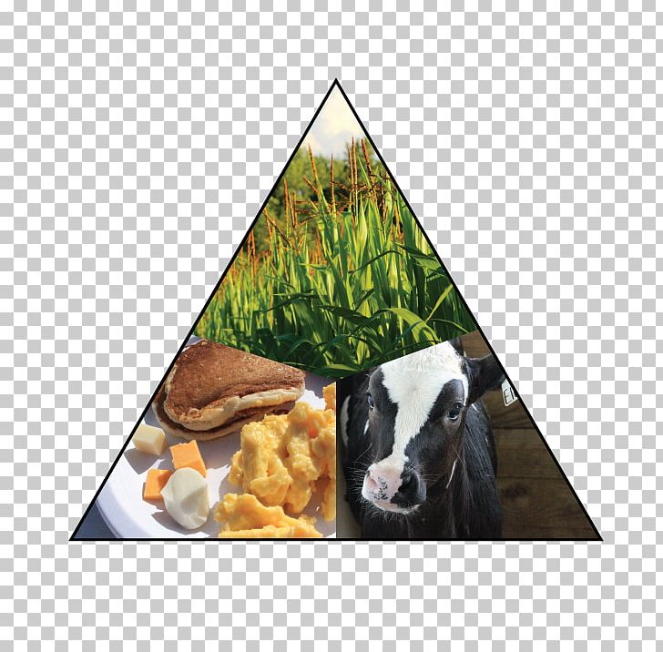 Cattle Goat Livestock Animal Snout PNG, Clipart, Animal, Animals, Cattle, Cattle Like Mammal, Cow Goat Family Free PNG Download