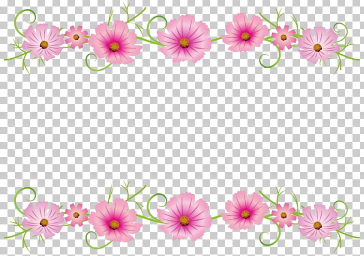 Floral Design Illustration Flower Cosmos Autumn PNG, Clipart, Autumn, Blossom, Branch, Cosmos, Cut Flowers Free PNG Download