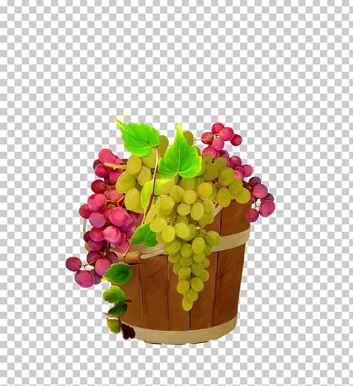 Grape Seed Extract Flowerpot Superfood PNG, Clipart, Flowering Plant, Flowerpot, Food, Fruit, Fruit Nut Free PNG Download