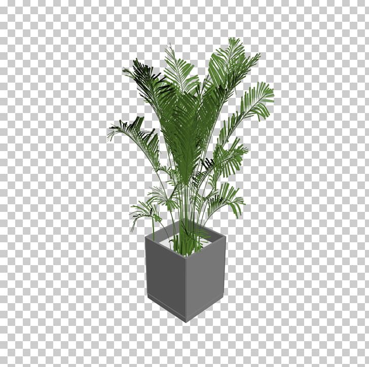 Houseplant Arecaceae Tree Flowerpot PNG, Clipart, 3d Computer Graphics, Arecaceae, Arecales, Areca Palm, Bedroom Free PNG Download