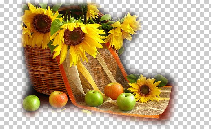 Still Life With Apples PNG, Clipart, Daisy Family, Film Still, Flower, Flower Arranging, Flowers Free PNG Download