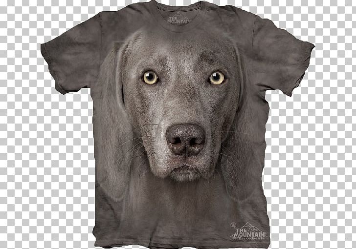 T-shirt Weimaraner Clothing Top PNG, Clipart, Amazoncom, Breed, Carnivoran, Clothing, Clothing Accessories Free PNG Download