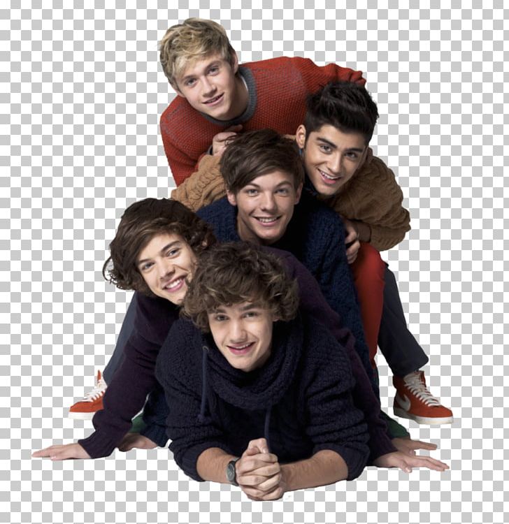 Harry Styles One Direction Niall Horan PNG, Clipart, Aggression, Child, Desktop Wallpaper, Direction, Download Free PNG Download
