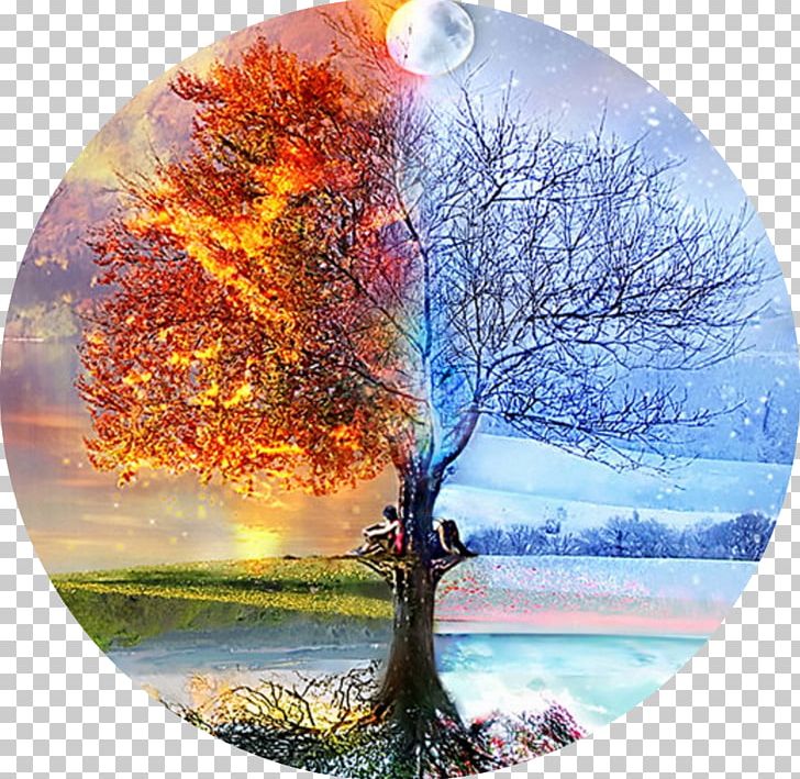 Paint By Number Painting Decorative Arts PNG, Clipart, Artist, Autumn, Branch, Canvas, Christmas Ornament Free PNG Download