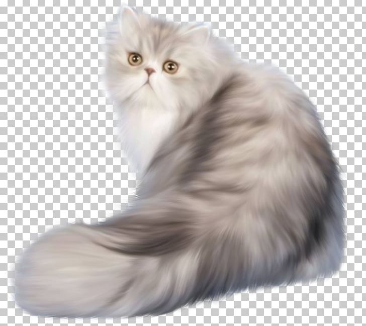 Cat Kitten Animation PNG, Clipart, Animal, Animals, Animation, Asian, Asian Semi Longhair Free PNG Download