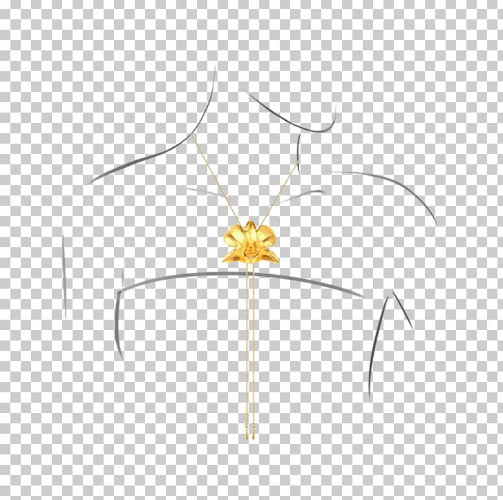 Insect Line Angle PNG, Clipart, Angle, Animals, Dendrobium Aphyllum, Insect, Invertebrate Free PNG Download