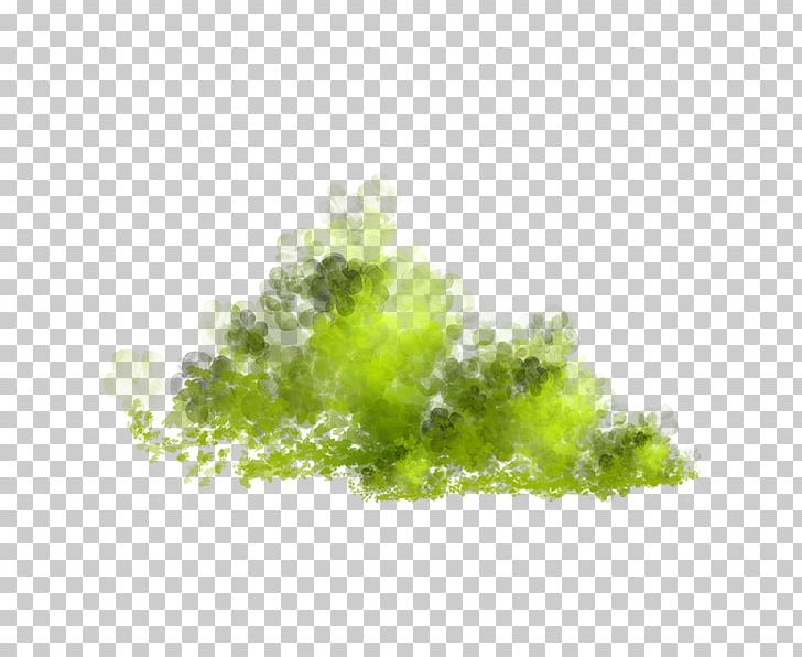 Leaf Computer Wallpaper Grass PNG, Clipart, Artificial Grass, Clip Art, Computer Graphics, Computer Wallpaper, Creative Grass Free PNG Download