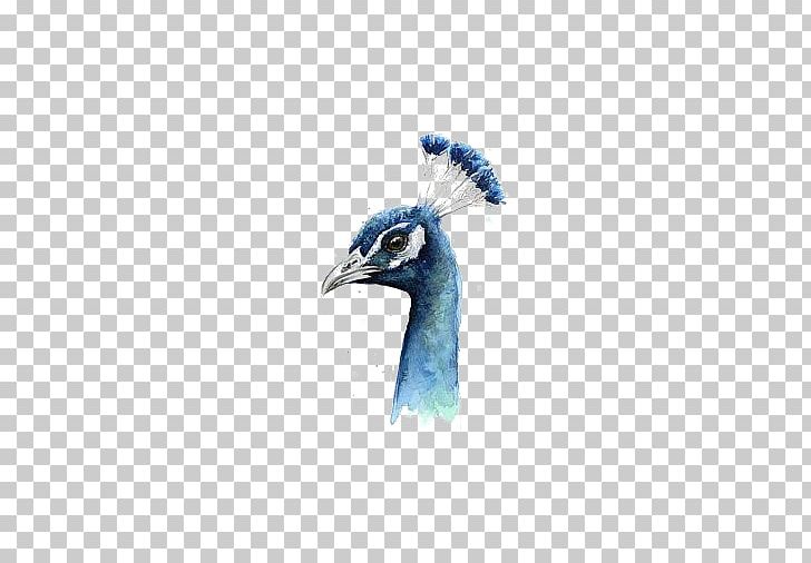 Peafowl Watercolor Painting Bird PNG, Clipart, Animals, Art, Artist, Beak, Blue Free PNG Download