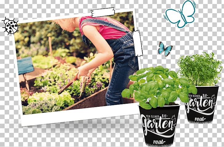 Flowerpot Plastic Herb Garden PNG, Clipart, Brand, Flowerpot, Garden, Grass, Herb Free PNG Download