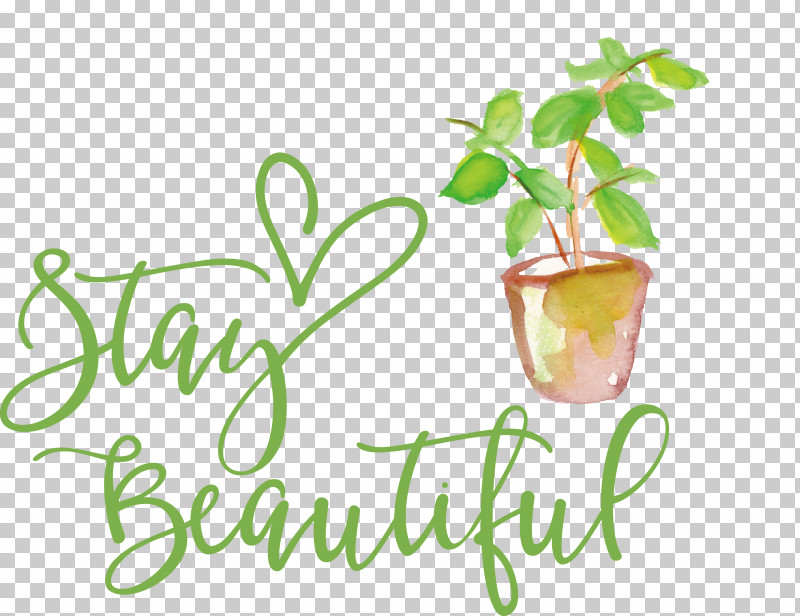 Stay Beautiful Fashion PNG, Clipart, Biology, Fashion, Flowerpot, Fruit, Meter Free PNG Download