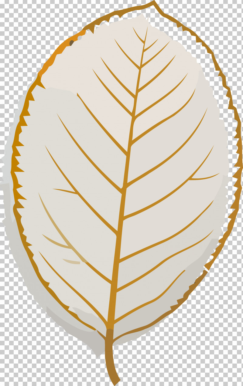 Autumn Leaf Yellow Leaf Leaf PNG, Clipart, Autumn Leaf, Leaf, Plant ...