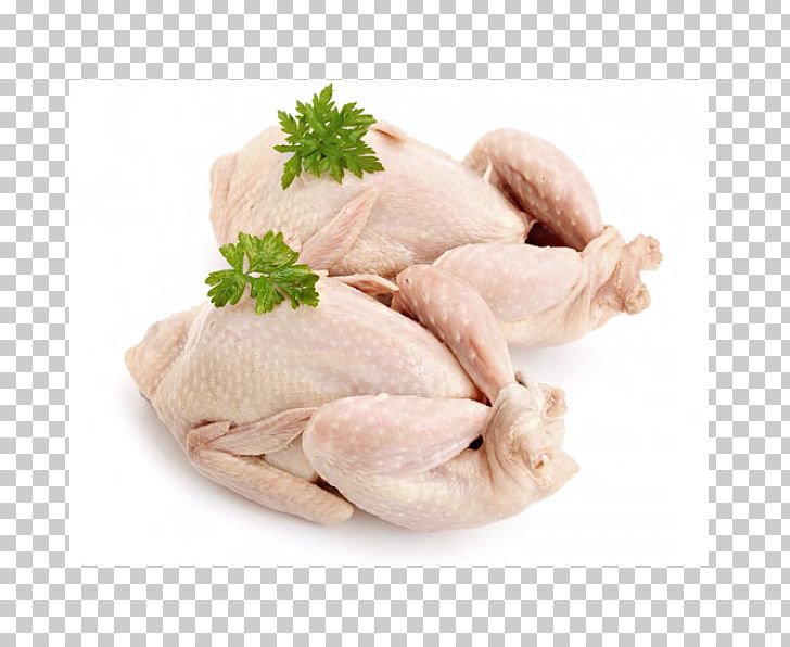 Common Quail Chicken Quail Meat PNG, Clipart, Animal Fat, Animals, Animal Source Foods, Chicken, Chicken As Food Free PNG Download