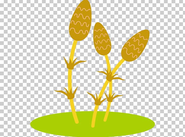 Tsukushi And Green Grass Illustration. PNG, Clipart, Branch, Commodity, Field Horsetail, Flora, Flower Free PNG Download