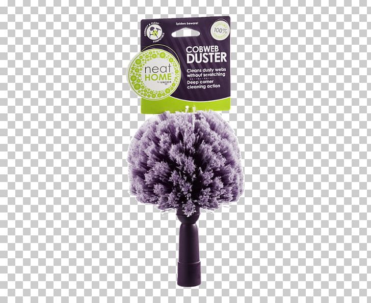 Cobweb Duster Spider Web Home PNG, Clipart, Cobweb, Cobweb Duster, Duster, Home, Neat Free PNG Download