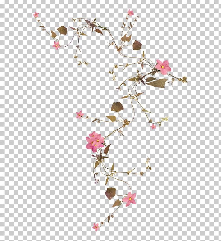 Flower Blossom Plants Vine PNG, Clipart, Blossom, Branch, Cherry Blossom, Drawing, Flora Free PNG Download