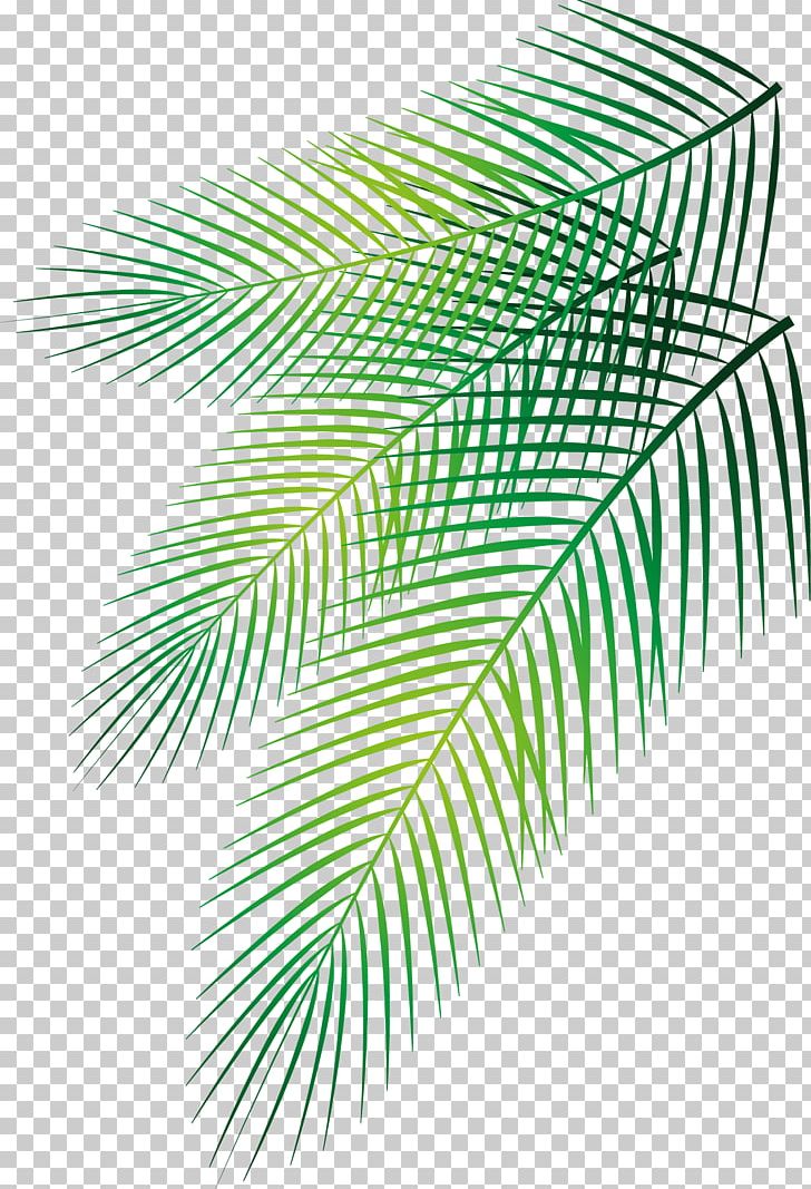Leaf Arecaceae Date Palm PNG, Clipart, Angle, Decorative Pattern, Design, Encapsulated Postscript, Green Free PNG Download