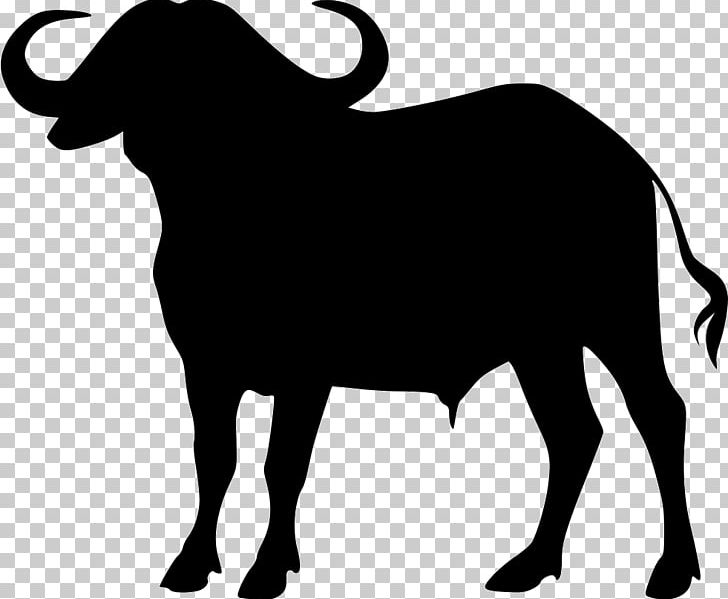 Water Buffalo PNG, Clipart, American Bison, Black And White, Buffalo Vector, Bull, Cattle  Free PNG Download