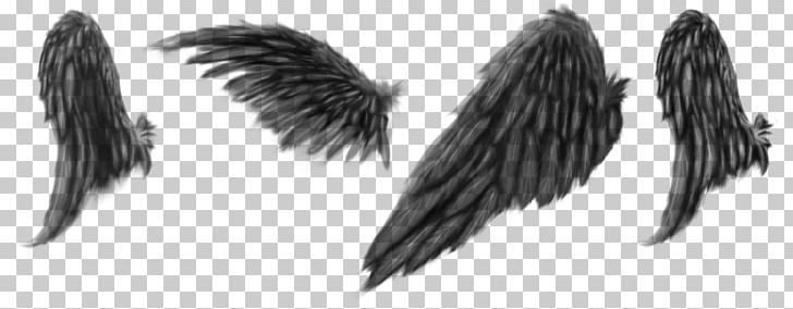 Drawing Brush Monochrome PNG, Clipart, Angel Wings, Art, Beak, Black And White, Brush Free PNG Download