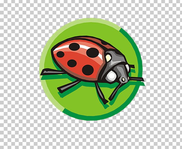 Ladybird Insect PNG, Clipart, 2017, Beetle, Crop Protection, Fruit, Grass Free PNG Download
