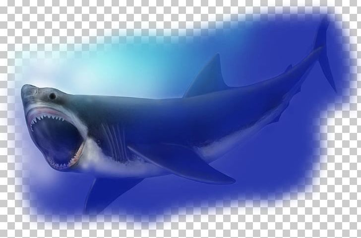 Megalodon Hungry Shark World Requiem Sharks Tomb Of Annihilation PNG, Clipart, Animals, Biology, Blue, Cartilaginous Fish, Cetacea Free PNG Download