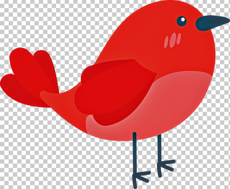 Feather PNG, Clipart, Beak, Bird, Birds, Cardinal, Cartoon Bird Free PNG Download