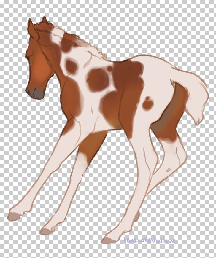 Mustang Foal Colt Stallion Mare PNG, Clipart, Animal Figure, Bridle, Colt, Foal, Giraffidae Free PNG Download