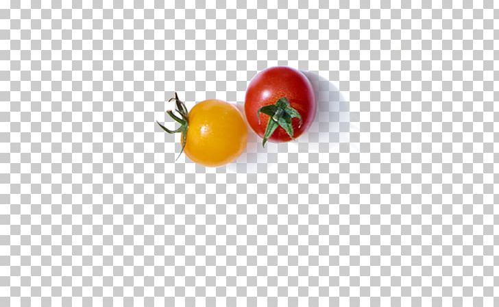 Bush Tomato Vegetarian Cuisine Diet Food PNG, Clipart, Bush Tomato, Diet, Diet Food, Food, Fruit Free PNG Download