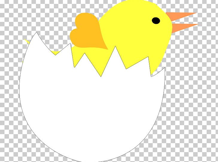 Eggshell PNG, Clipart, Angle, Artwork, Beak, Download, Egg Free PNG Download