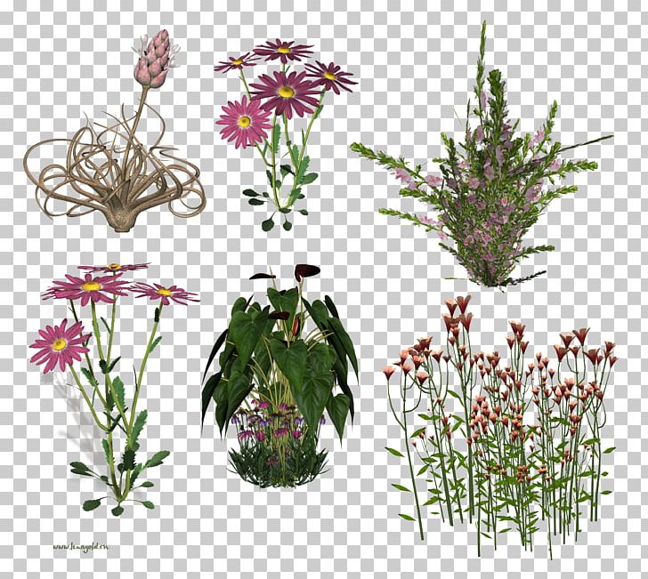 Floral Design Cut Flowers PNG, Clipart, Cut Flowers, Flora, Floral Design, Floristry, Flower Free PNG Download