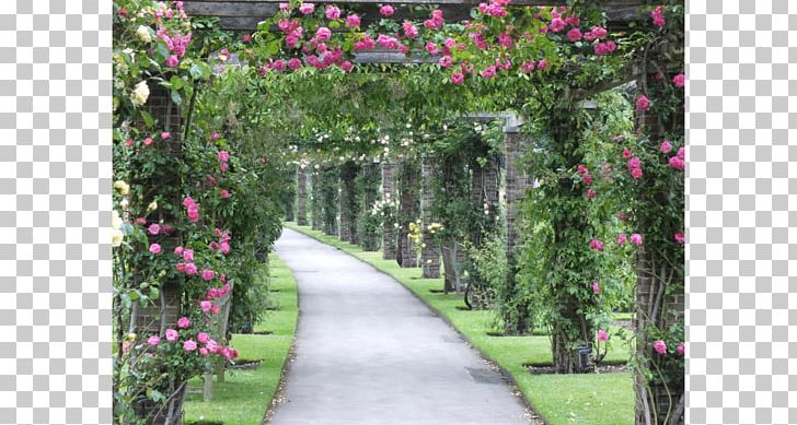 Pergola Royal Botanic Gardens PNG, Clipart, Botanical Garden, Flora, Flower, Flower Garden, Flowering Plant Free PNG Download