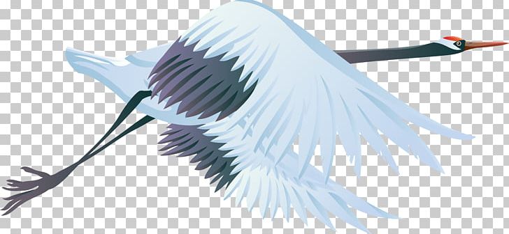 Crane Bird PNG, Clipart, Albatross, Animals, Ardea, Beak, Bird Free PNG Download