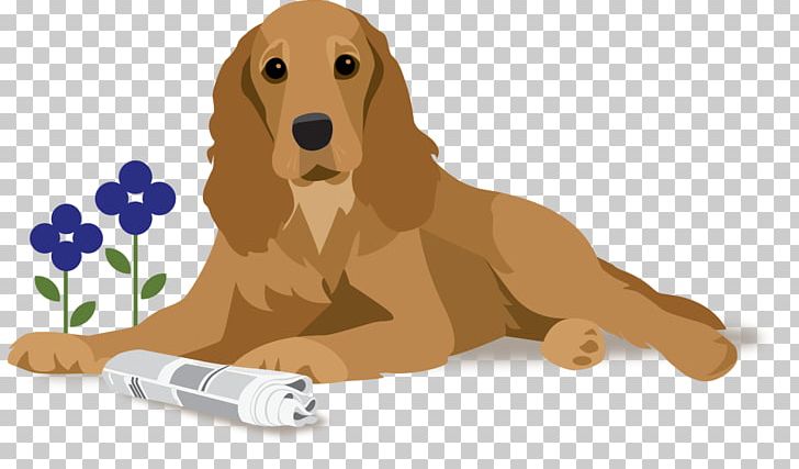 Golden Retriever Puppy Dog Breed Companion Dog Dog Food PNG, Clipart, Brown Dog, Carnivoran, Cereal, Companion Dog, Dog Free PNG Download