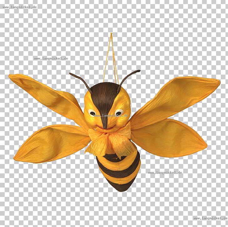 Honey Bee Moth Pest PNG, Clipart, Arthropod, Bee, Biene, Butterfly, Honey Free PNG Download