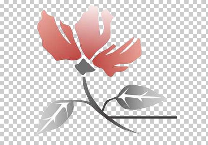 Rose Family Petal Leaf PNG, Clipart, Fitness Logo, Flora, Flower, Flowering Plant, Leaf Free PNG Download