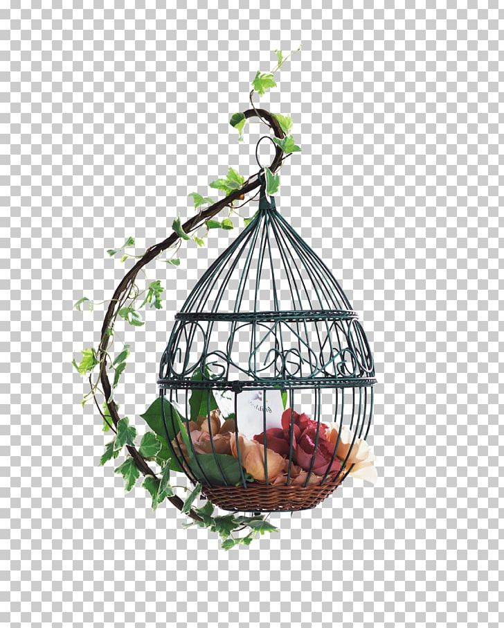 Samsung Galaxy S6 IPhone 8 Samsung Galaxy Note 3 Samsung Galaxy S5 PNG, Clipart, Android, Bird, Birdcage, Branch, Cage Free PNG Download