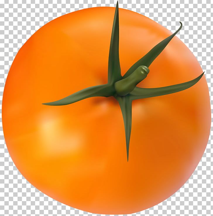 Tomato PNG, Clipart, Art Museum, Calabaza, Christmas, Food, Fruit Free PNG Download