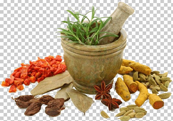 Ayurveda Kottakkal Physician Yunani Medicine PNG, Clipart, Clinic, Colony, Fine Herbs, Flowerpot, Health Free PNG Download