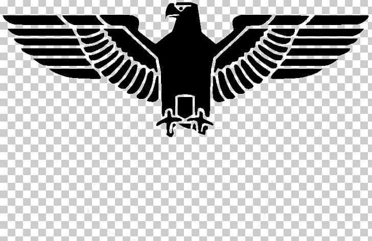 Nazi Germany German Empire Second World War Nazi Party PNG, Clipart, Adolf Hitler, Animals, Beak, Bird, Bird Of Prey Free PNG Download