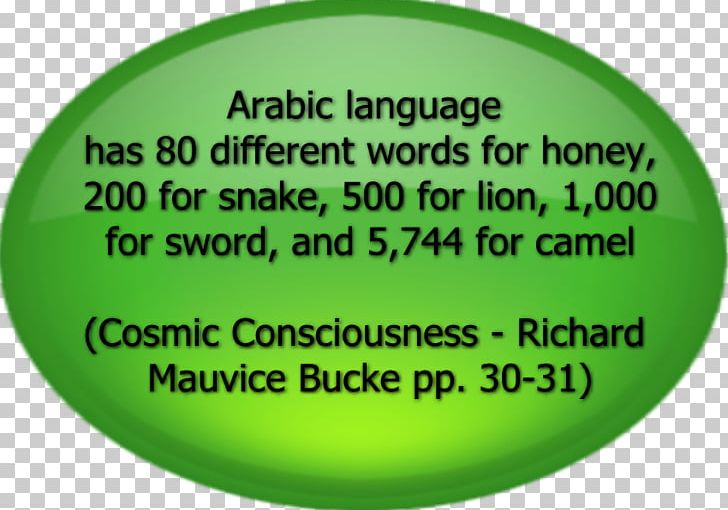 Quran Arabic Language Hadith Word PNG, Clipart, Arabic Language, Arabs, Child, Dua, Grass Free PNG Download