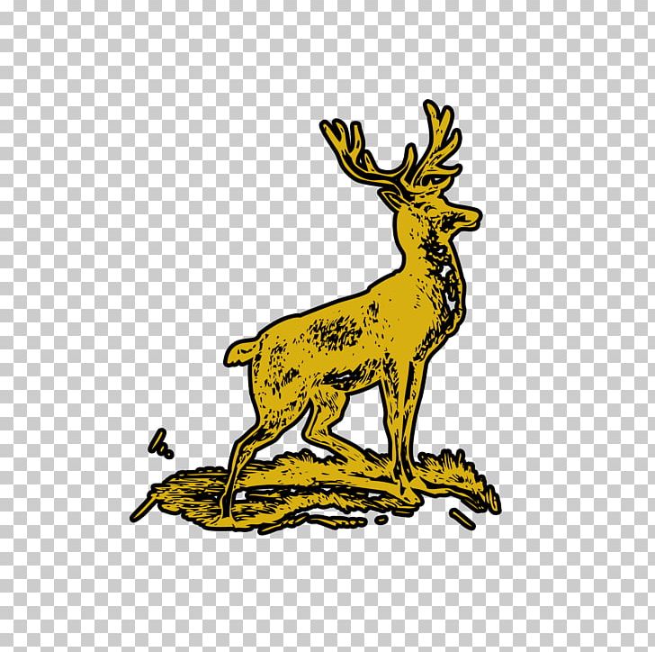 Reindeer Hare Antler Wildlife PNG, Clipart, Antler, Art, Cartoon, Deer, Fauna Free PNG Download