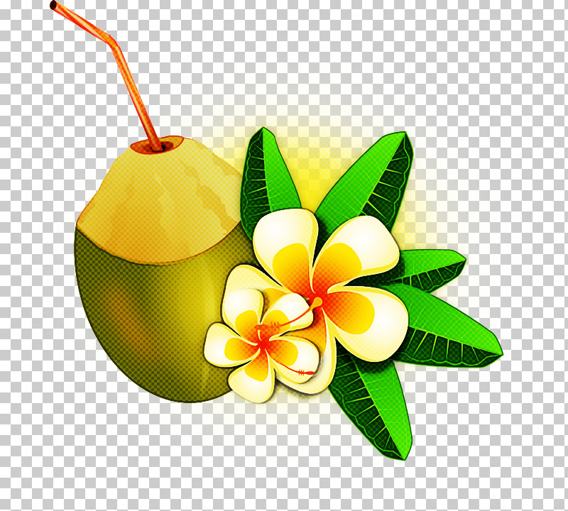 Coconut PNG, Clipart, Black And White, Cartoon, Coconut, Drawing, Painting Free PNG Download