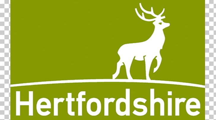 Hertfordshire County Council Watford Laborer Service Contract PNG, Clipart, Antler, Brand, Contract, Council, Deer Free PNG Download