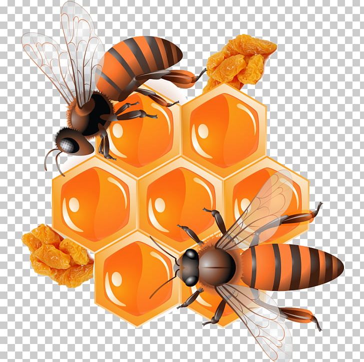 Honey Bee PNG, Clipart, Arthropod, Bee, Bee Hive, Bee Honey, Bees Free PNG Download