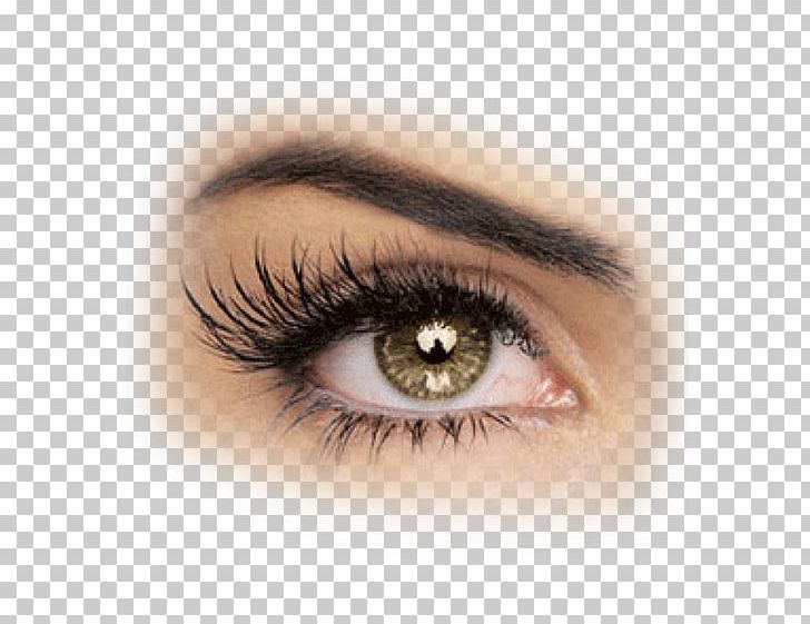 Eyelash Extensions Beauty Parlour Artificial Hair Integrations Hairstyle PNG, Clipart, Artificial Hair Integrations, Beauty Parlour, Chemical Peel, Closeup, Contact Lens Free PNG Download