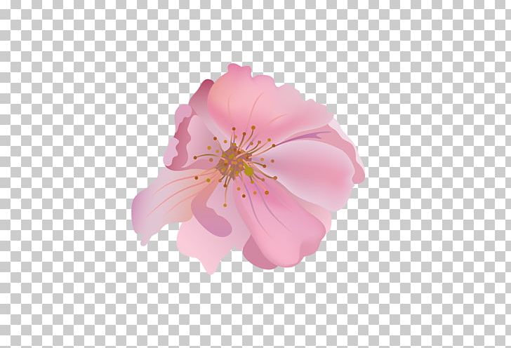 Flower Decoupage No Las Busco PNG, Clipart,  Free PNG Download