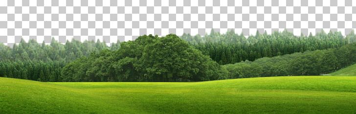 Green PNG, Clipart, Adobe Illustrator, Artificial Turf, Background Green, Color, Download Free PNG Download