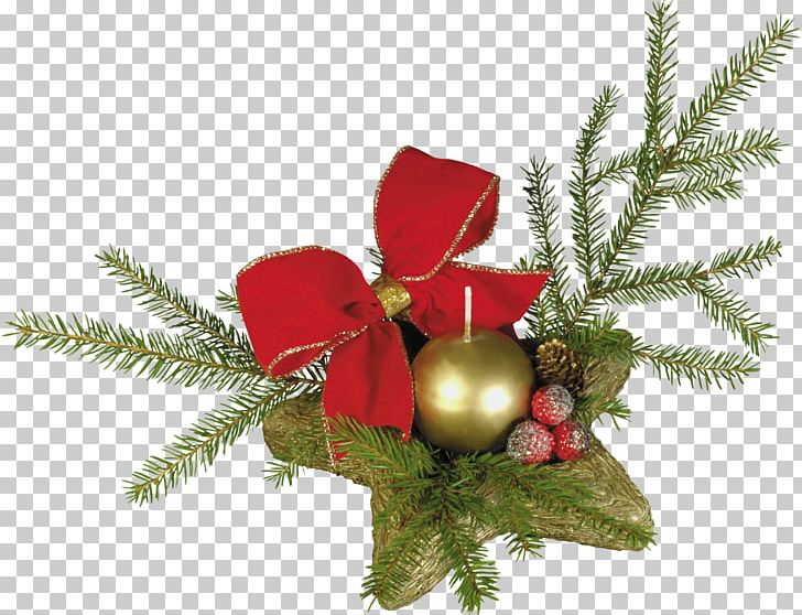 Christmas Ornament Toy New Year PNG, Clipart, Branch, Christmas, Christmas Decoration, Christmas Ornament, Conifer Free PNG Download