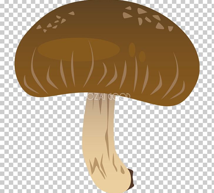 Hat Mushroom PNG, Clipart, Hat, Headgear, Mushroom, Table Free PNG Download