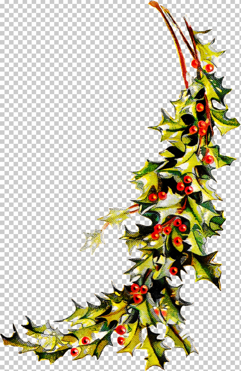 Christmas Decoration PNG, Clipart, Branch, Christmas Decoration, Fir, Flower, Holly Free PNG Download