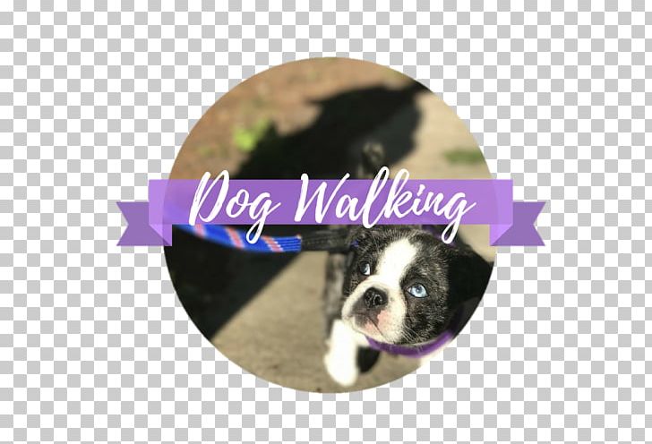 Boston Terrier Puppy Dog Breed Non-sporting Group Dog Training PNG, Clipart, Animals, Boston Terrier, Breed, Carnivoran, Christmas Ornament Free PNG Download